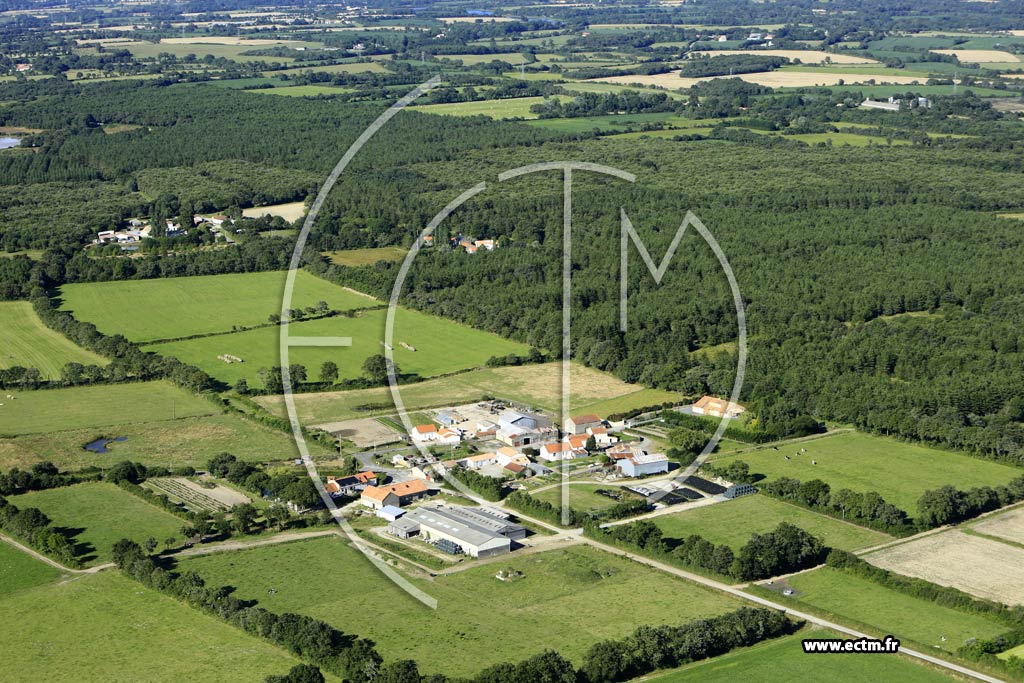 Photo arienne de Bourgneuf-en-Retz (la Rouillre)