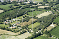 Photos de Sallertaine (la Rive)