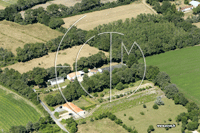 Photos de Sallertaine (le Cartron)