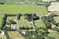 Photos de Sallertaine (les Sauzes)