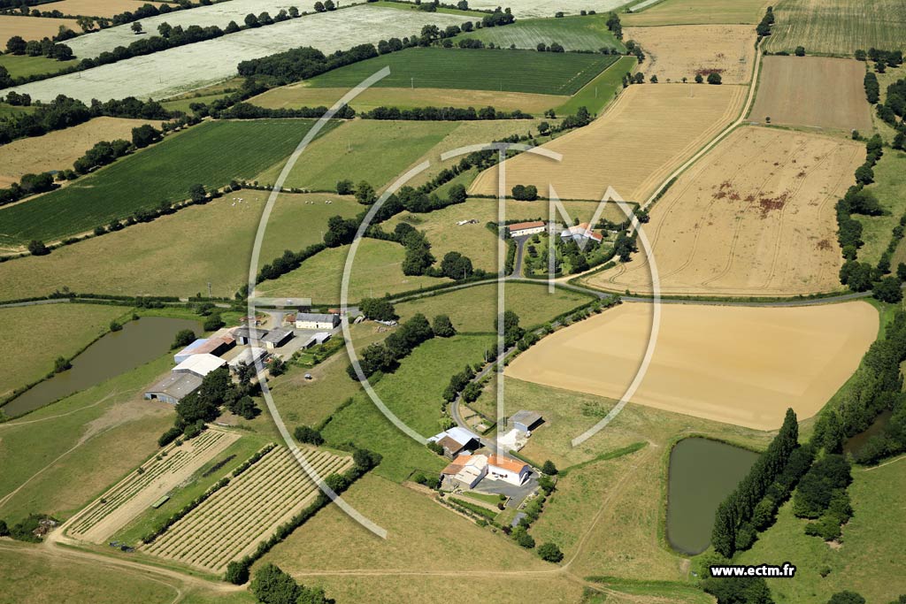 Photo arienne de La Salle-de-Vihiers (la Maison Neuve - Bail)