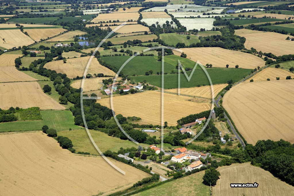 Photo arienne de La Salle-de-Vihiers (Rocheplaud)