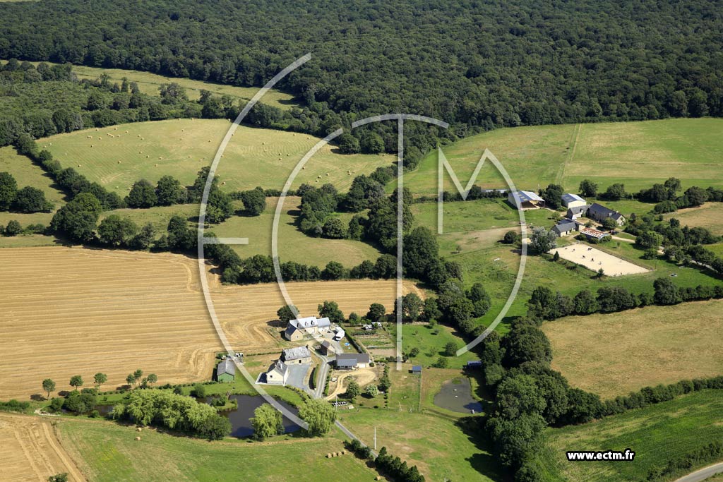 Photo arienne de La Bazouge-des-Alleux (la Rimbaudire - la Monsazire)