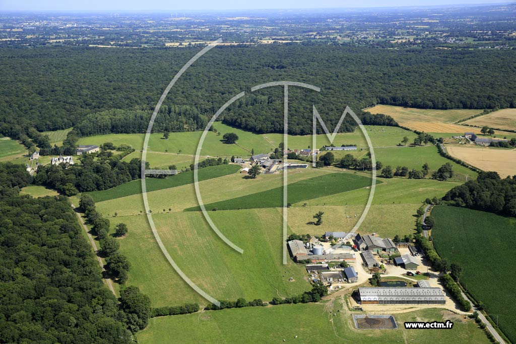 Photo arienne de Montourtier (la Grange)