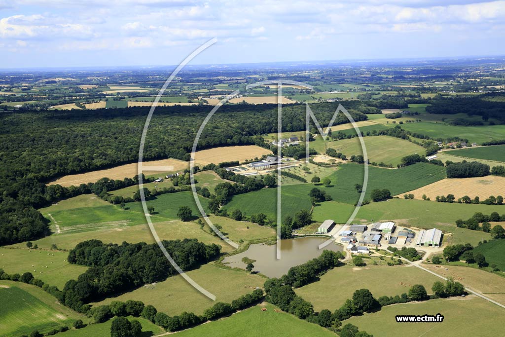 Photo arienne de Saint-Georges-Buttavent (la Pichonnire)
