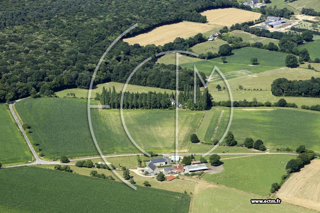 Photo arienne de Saint-Georges-Buttavent (les Viardires des Bois)