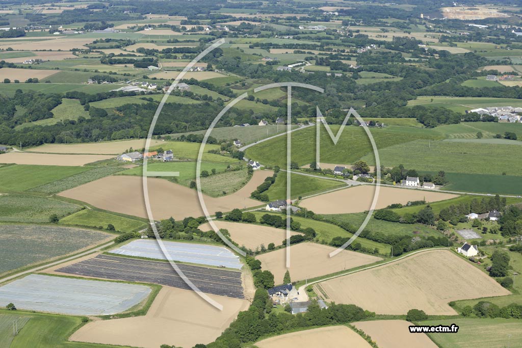 Photo arienne de Morlaix (Coasveur)