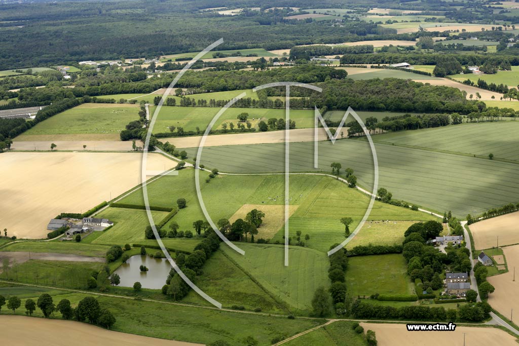Photo arienne de La Motte (le Haut de la Cour)
