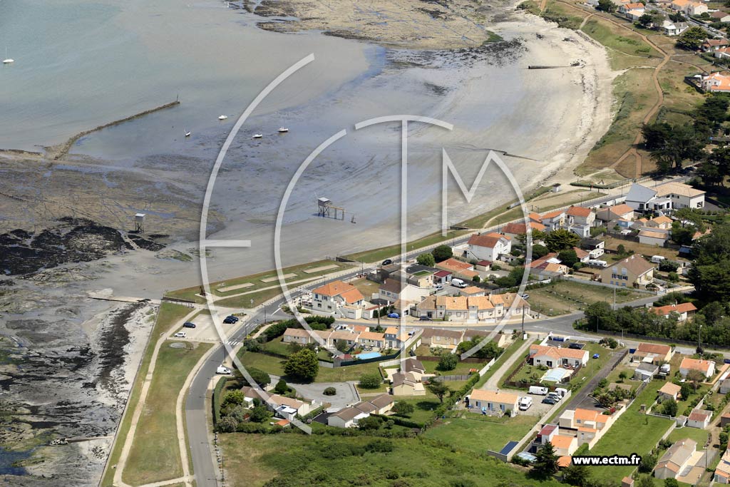 Photo arienne de La Plaine-sur-Mer (le tara)