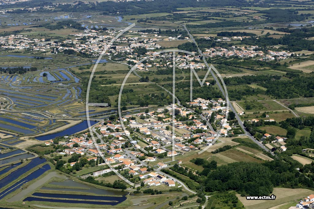 Photo arienne de L'le-d'Olonne (la Burelire)
