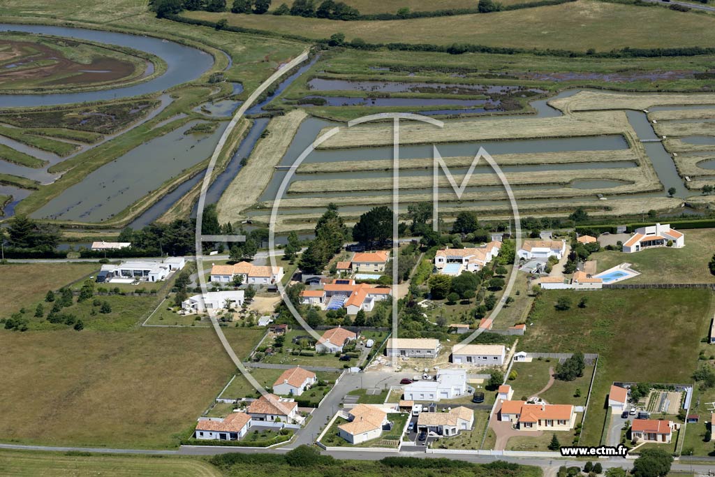 Photo arienne de L'le-d'Olonne (la Salaire)