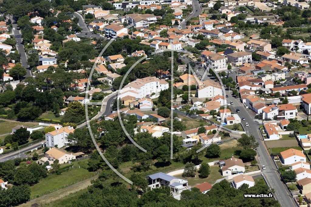 Photo arienne de Le Chteau-d'Olonne (la Pironnire)