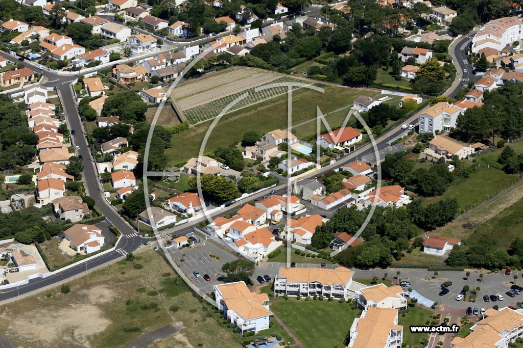 Photo arienne de Le Chteau-d'Olonne (la Pironnire)