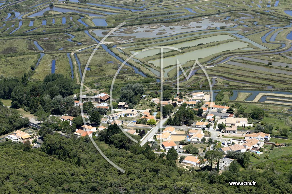 Photo arienne de Olonne-sur-Mer (la Citadelle)