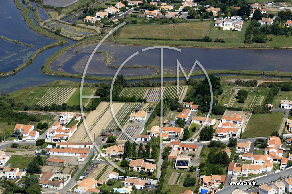 Photo arienne de Olonne-sur-Mer (la Roulire)