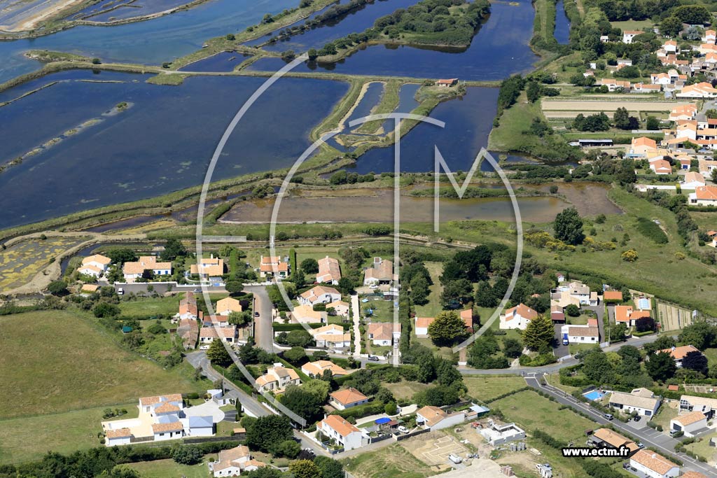 Photo arienne de Olonne-sur-Mer (le Cailloux Blanc)