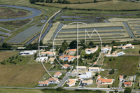 Photos de L'le-d'Olonne (la Salaire)