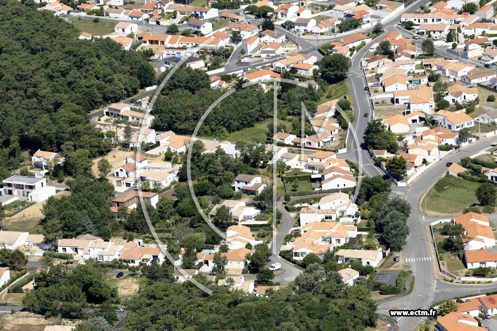Photo arienne de La Tranche-sur-Mer (l'Essye aux Moines)
