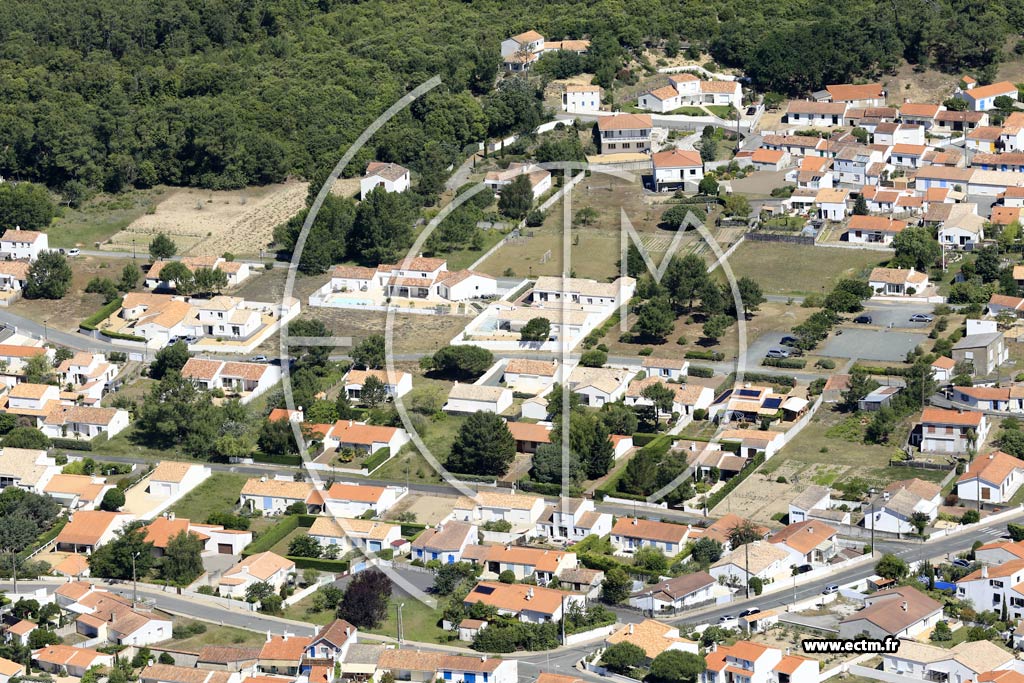 Photo arienne de La Tranche-sur-Mer (l'Essye aux Moines)