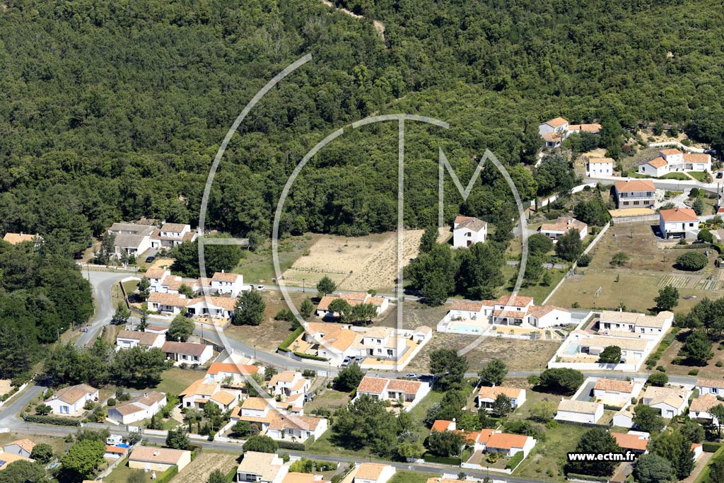Photo arienne de La Tranche-sur-Mer (l'Essye aux Moines)