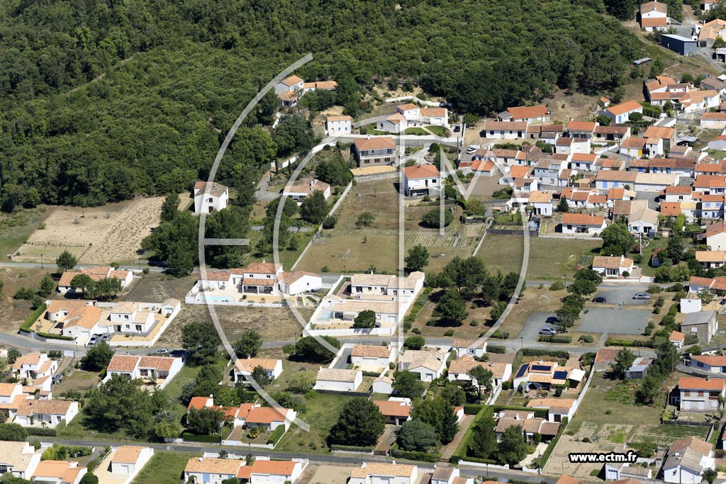 Photo arienne de La Tranche-sur-Mer (l'Essye aux Moines)