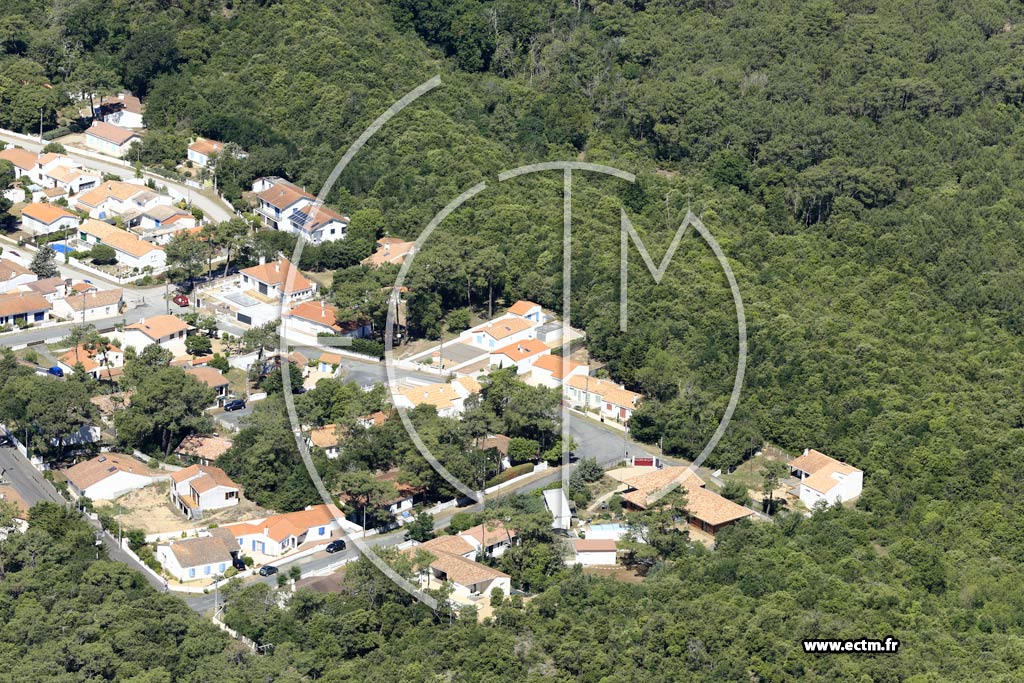 Photo arienne de La Tranche-sur-Mer (la Casse  Poireaud)