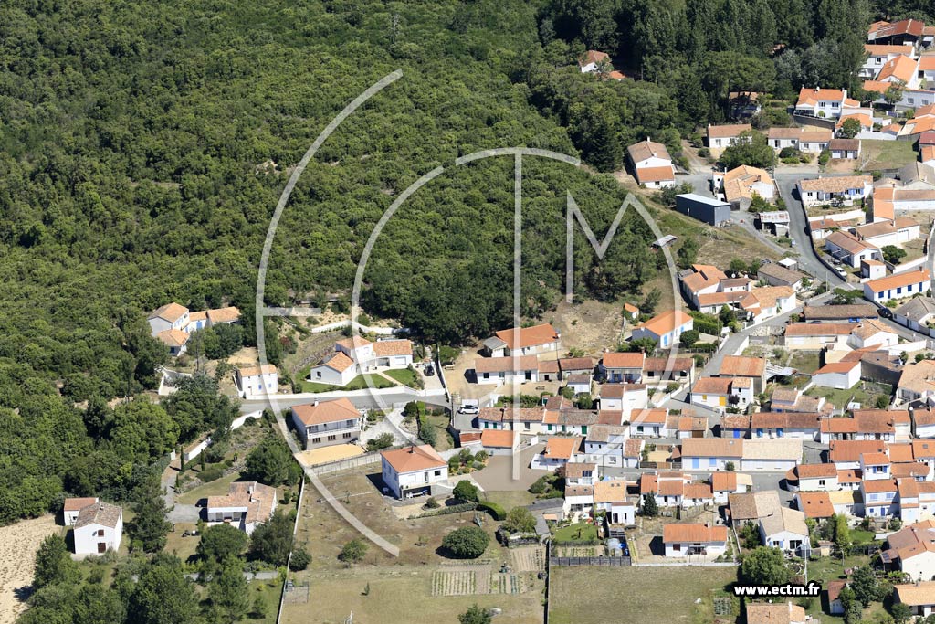 Photo arienne de La Tranche-sur-Mer (la Terrire)