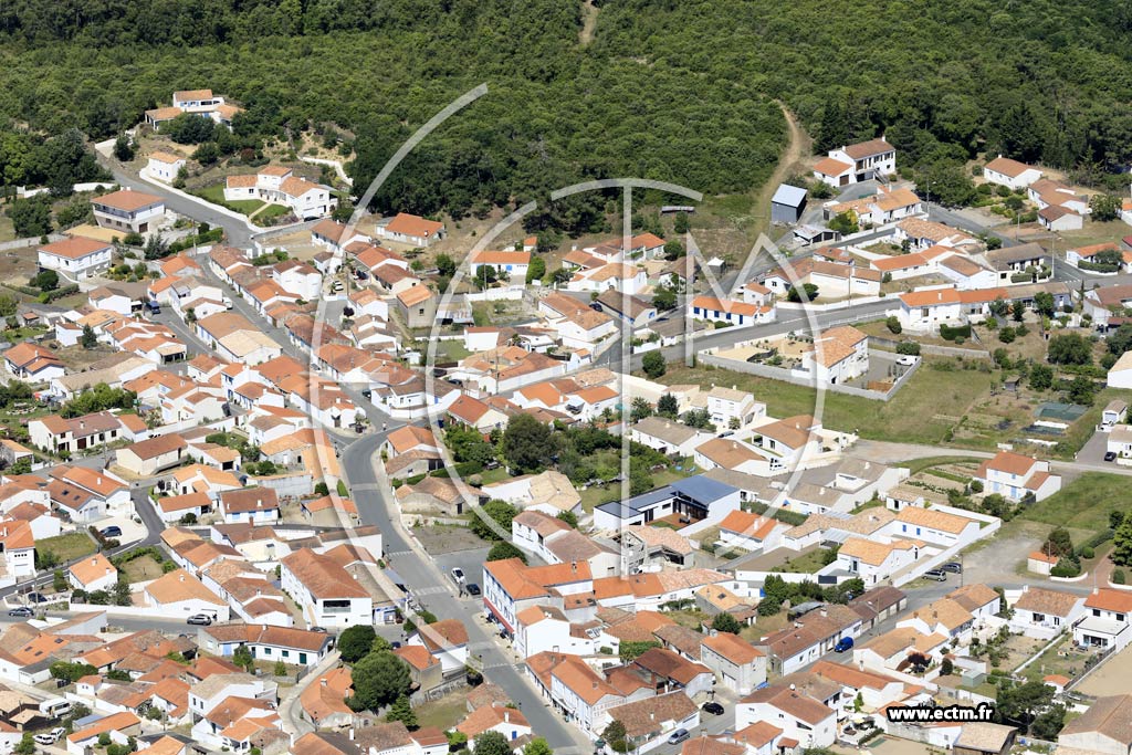 Photo arienne de La Tranche-sur-Mer (la Terrire)