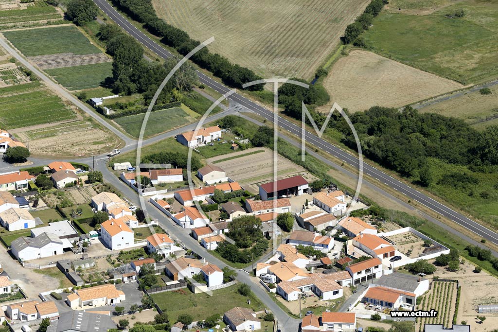 Photo arienne de La Tranche-sur-Mer (la Terrire)