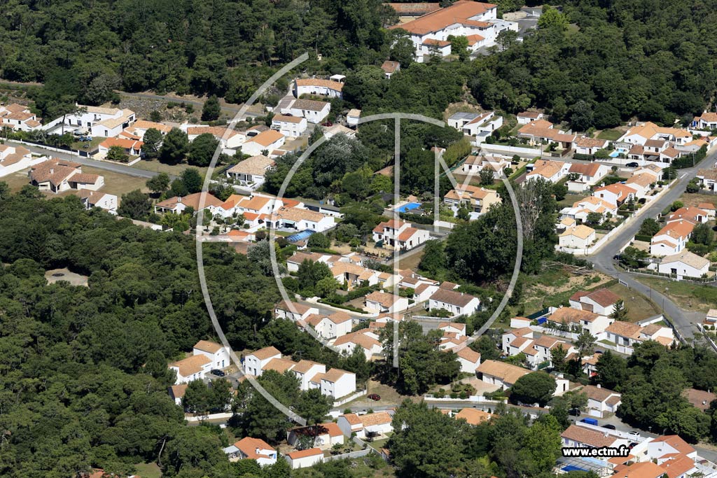Photo arienne de La Tranche-sur-Mer (les Galopinires)
