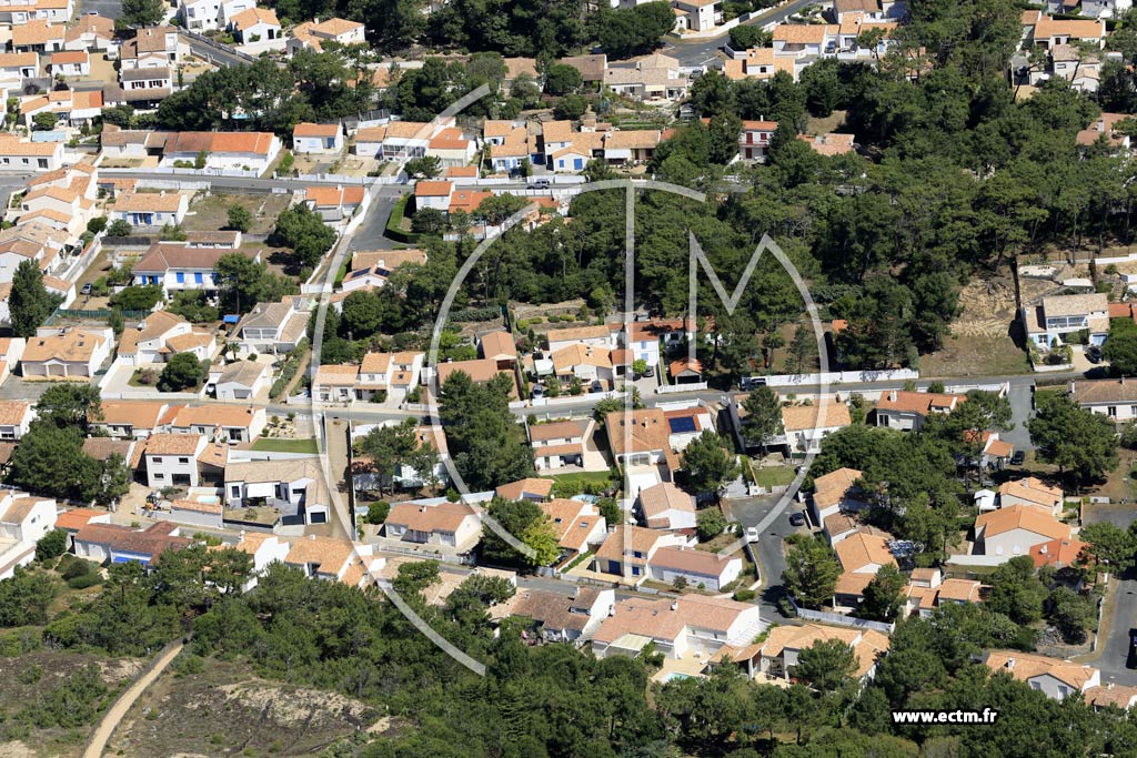 Photo arienne de La Tranche-sur-Mer (les Grenelles)
