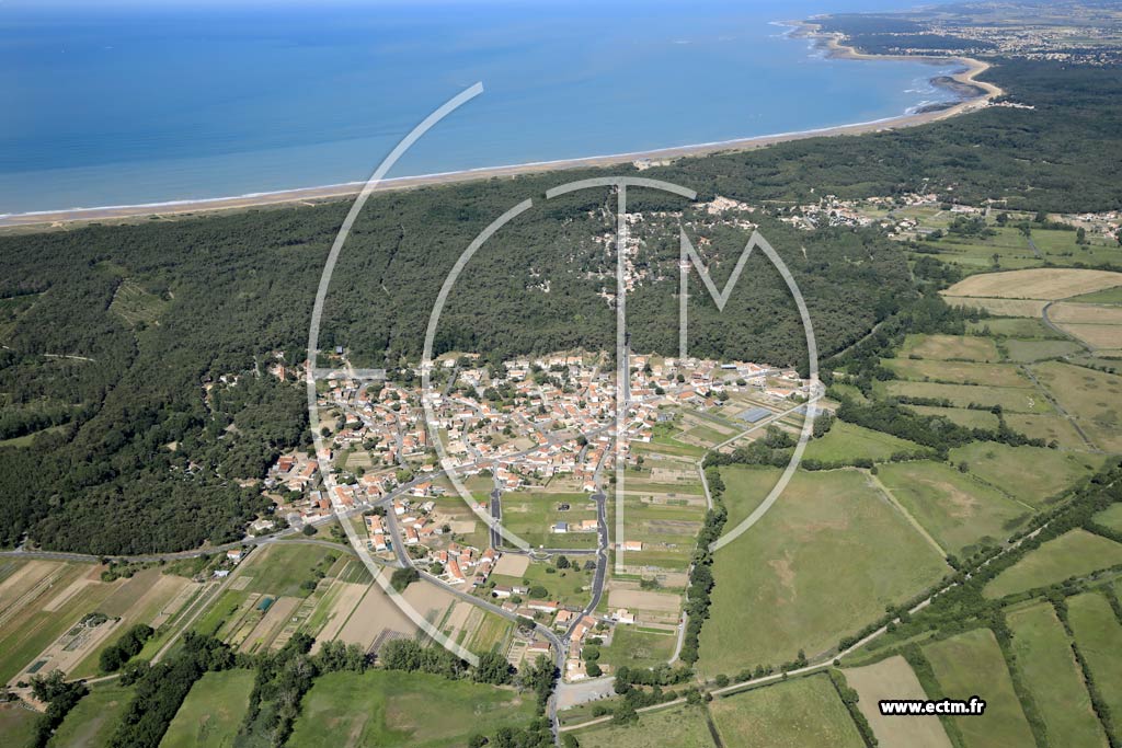 Photo arienne de Longeville-sur-Mer (les Grandes Jonchres - les Conches)