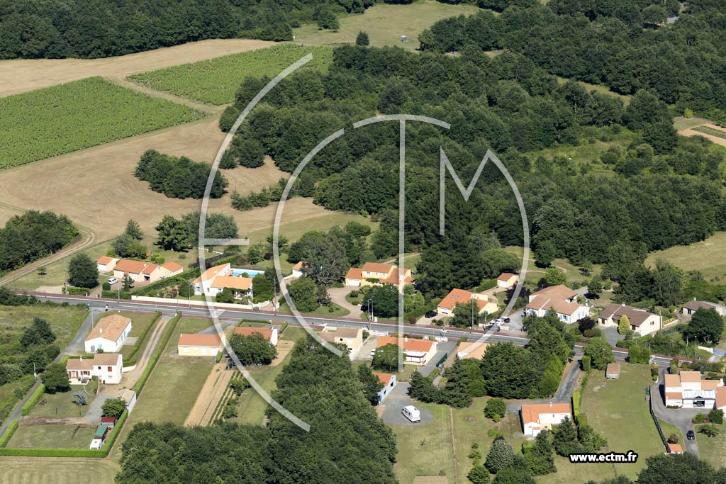 Photo arienne de Mareuil-sur-Lay-Dissais