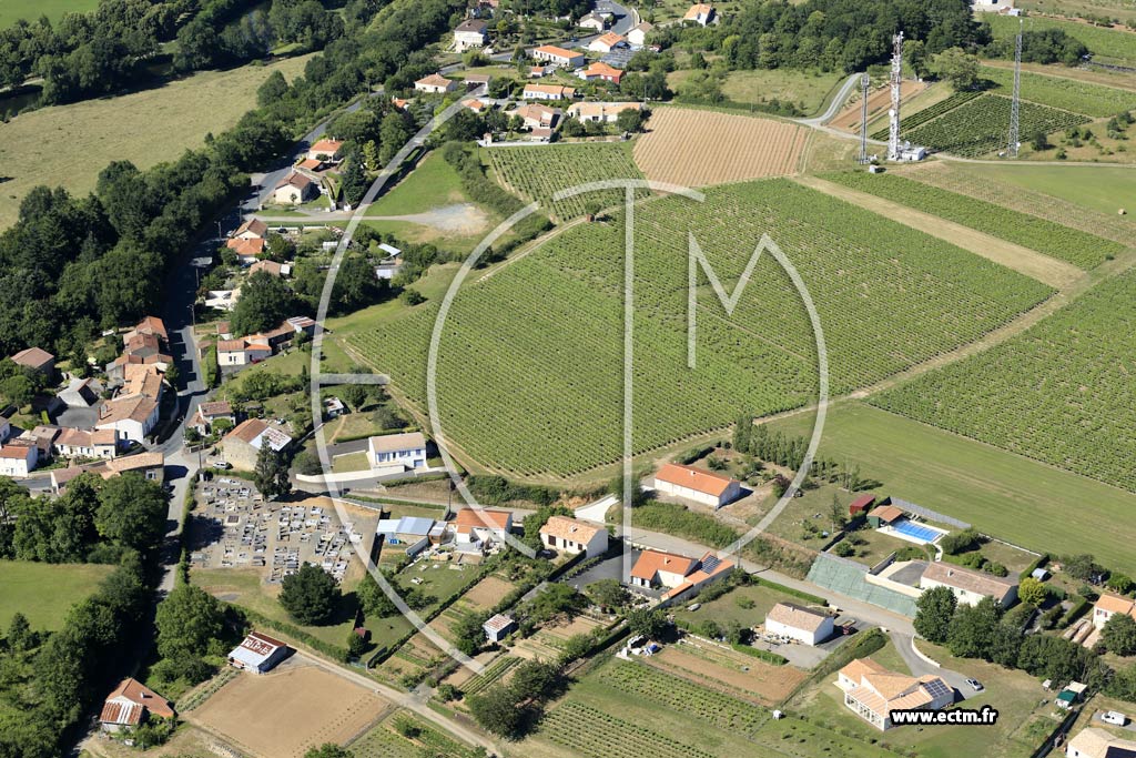 Photo arienne de Mareuil-sur-Lay-Dissais (les Tessonnes)