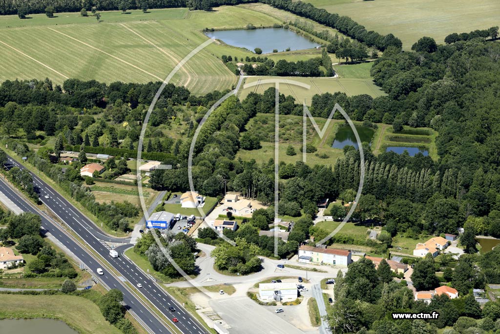 Photo arienne de Belleville-sur-Vie (la Vrignaie)