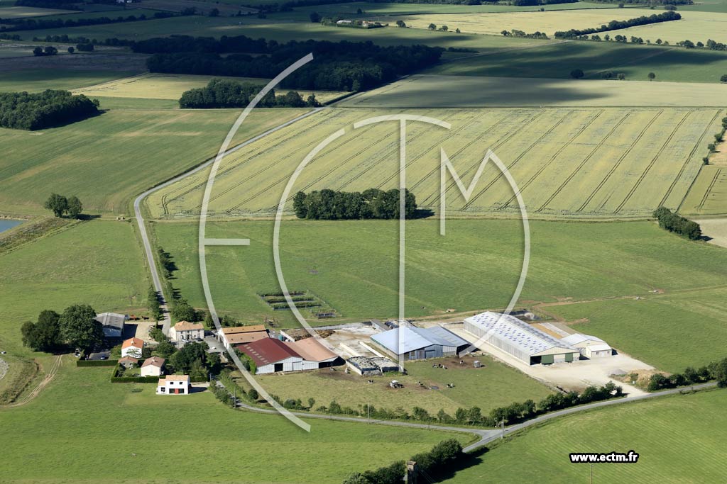 Photo arienne de Les Brouzils (la Thomazelire)