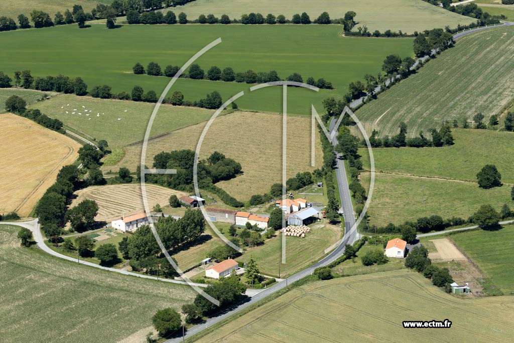 Photo arienne de Beaurepaire (la Landrire)