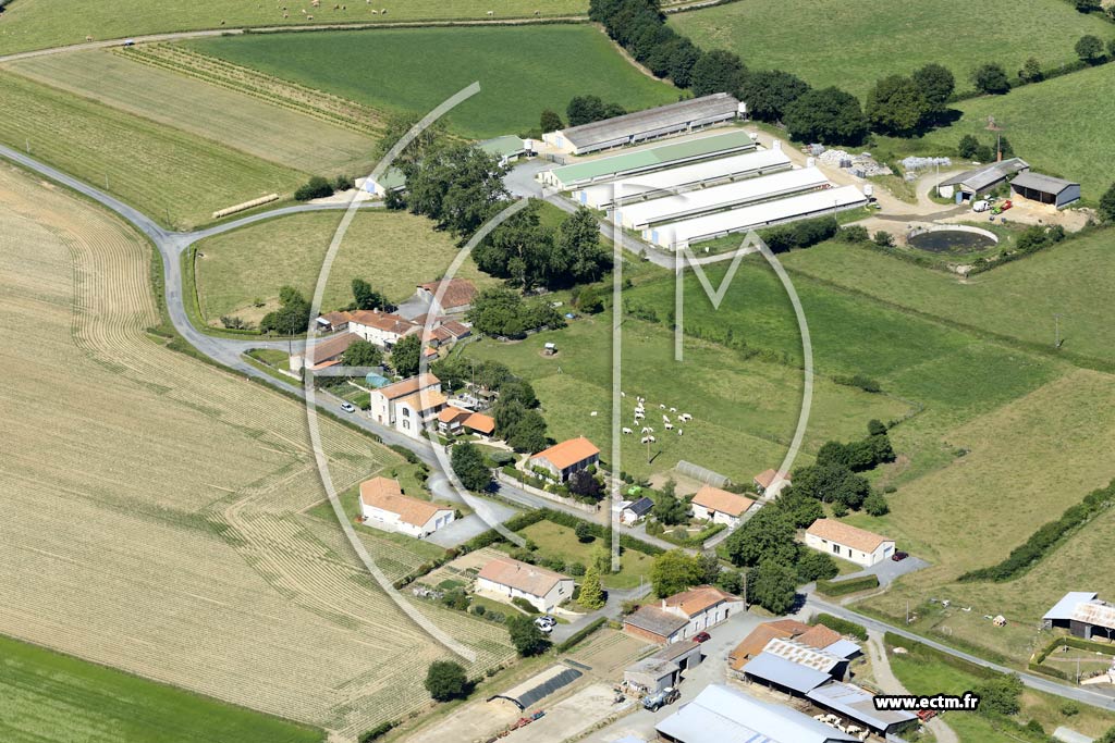 Photo arienne de Les Herbiers (la Tournerie - l'Ardouinire)