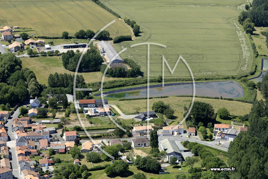 Photo arienne de Mesnard-la-Barotire