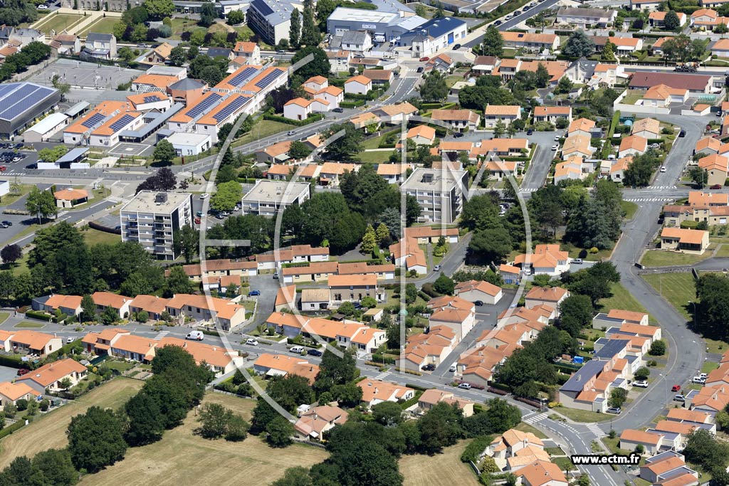Photo arienne de Mortagne-sur-Svre