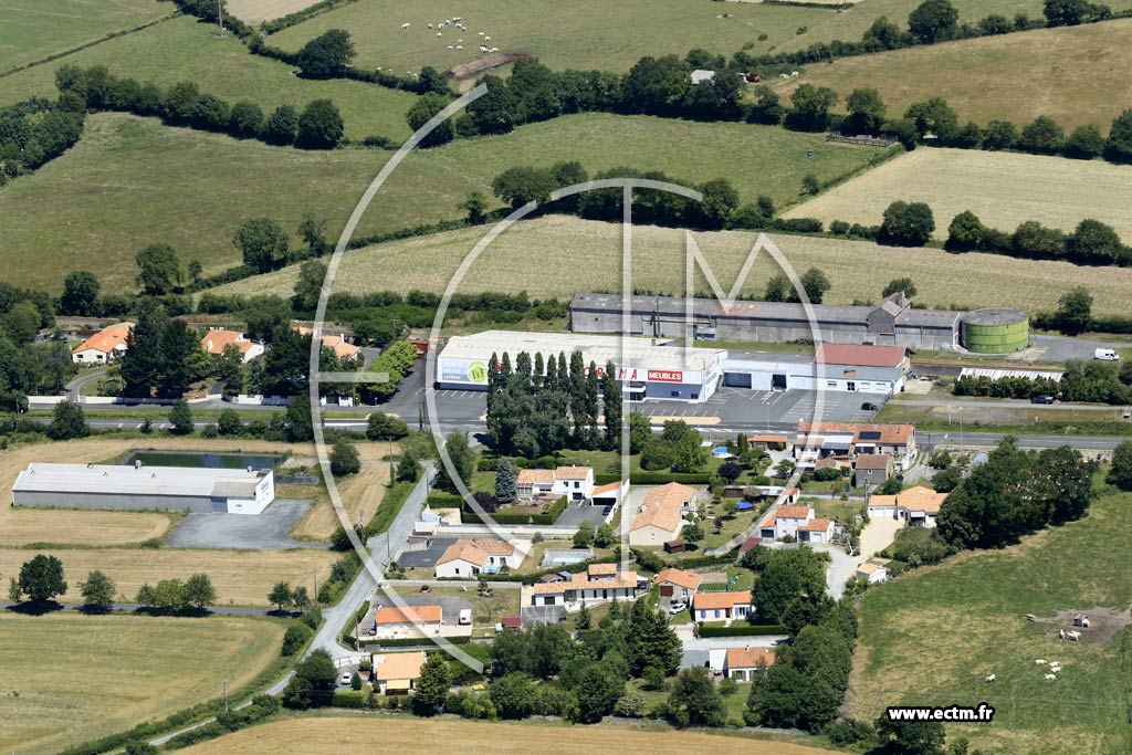 Photo arienne de Mortagne-sur-Svre (le Rossignol)
