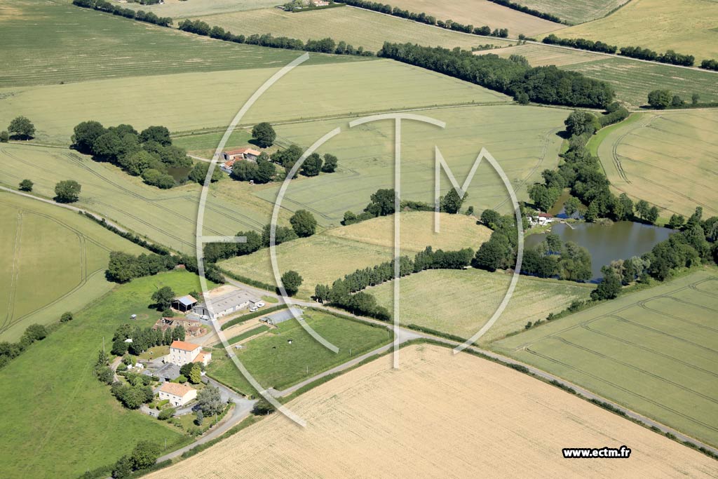 Photo arienne de Mouchamps (la Haute Daudire - la Maison Neuve)