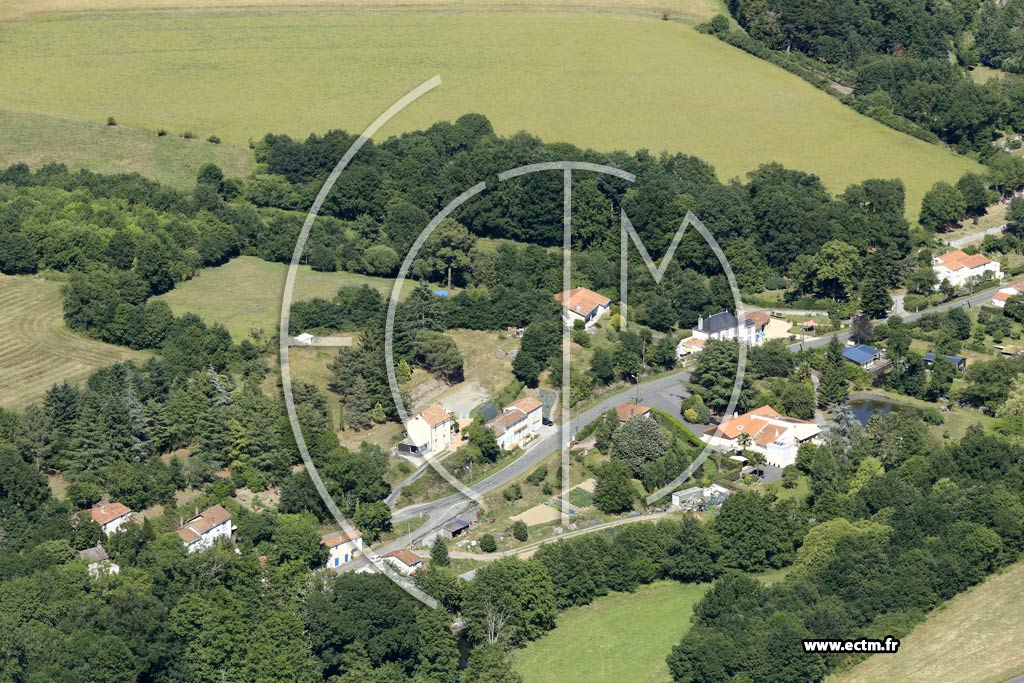 Photo arienne de Mouchamps (la Rivire)
