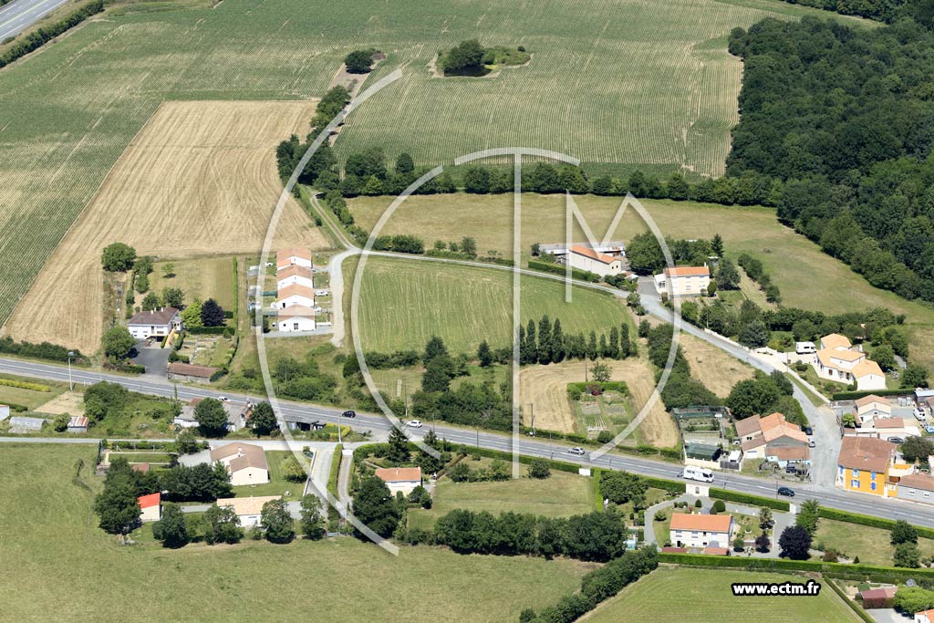 Photo arienne de Saint-Andr-Goule-d'Oie (la Brossire)