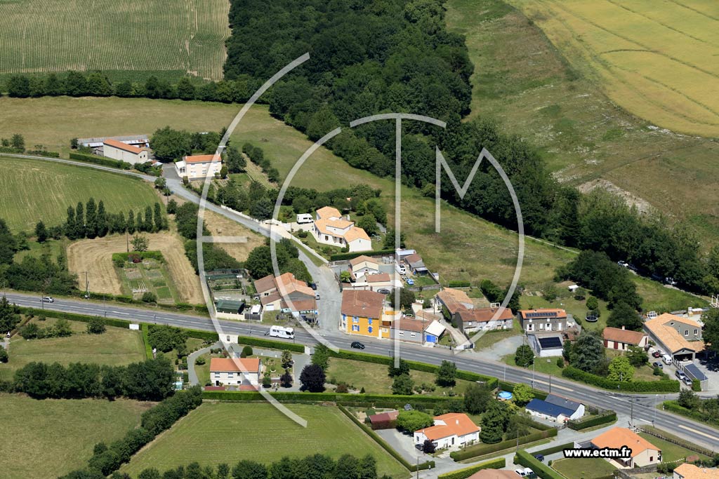 Photo arienne de Saint-Andr-Goule-d'Oie (la Brossire)