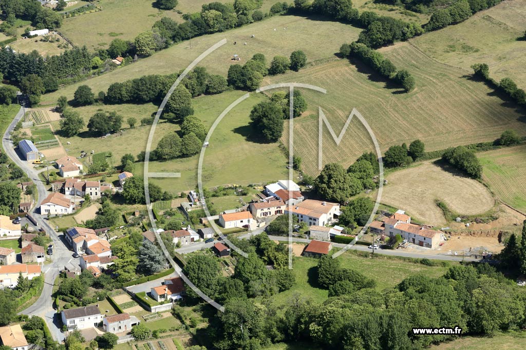 Photo arienne de Saint-Michel-Mont-Mercure (la Bessonnire)