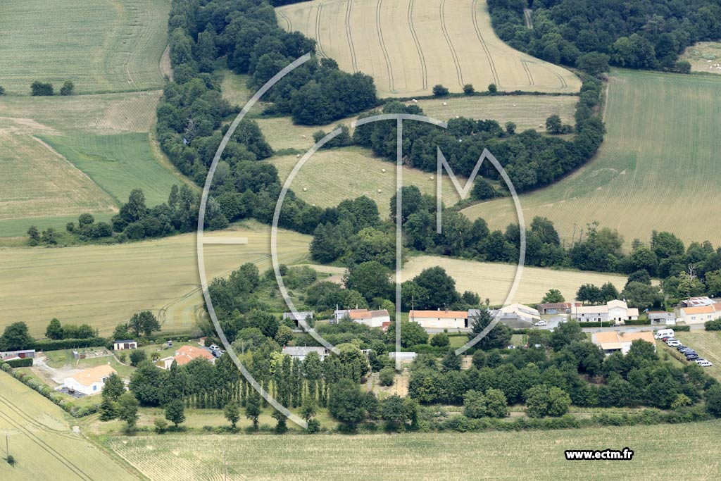 Photo arienne de Bournezeau (le Plessis)