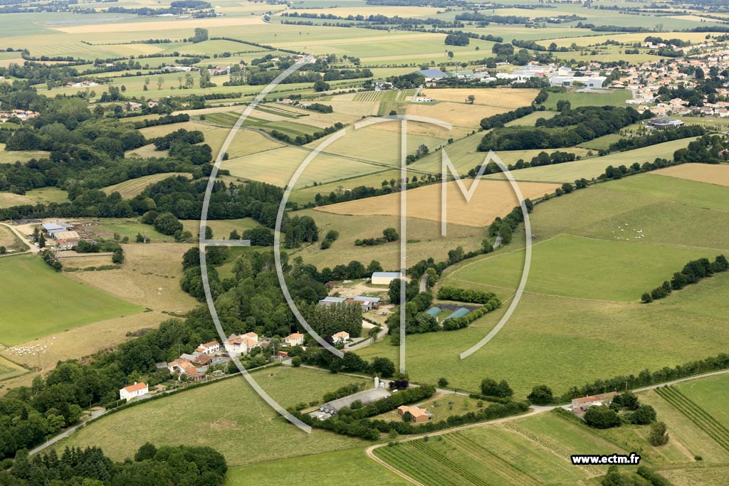 Photo arienne de Mouchamps (la Grange Gallut)