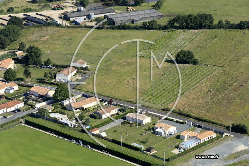 Photo arienne de Saint-Cyr-des-Gts