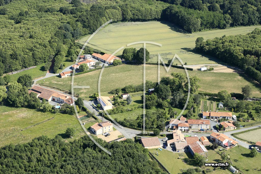 Photo arienne de Saint-Cyr-des-Gts (le Cep)